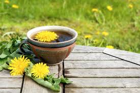 Dandelion Root - Cut & Sifted – FGO ...