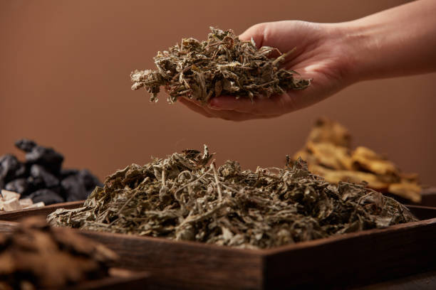 A Simple Herbal Roadmap: Choosing Support for Stress, Sleep, Digestion, Mood, and Focus